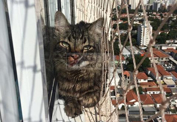 galeria-13-01 galeria-13-01