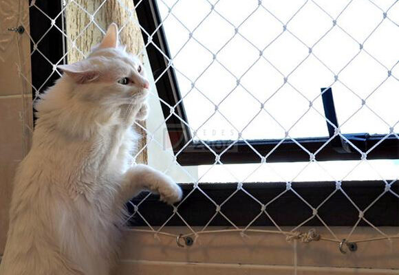 galeria-13-02 galeria-13-02